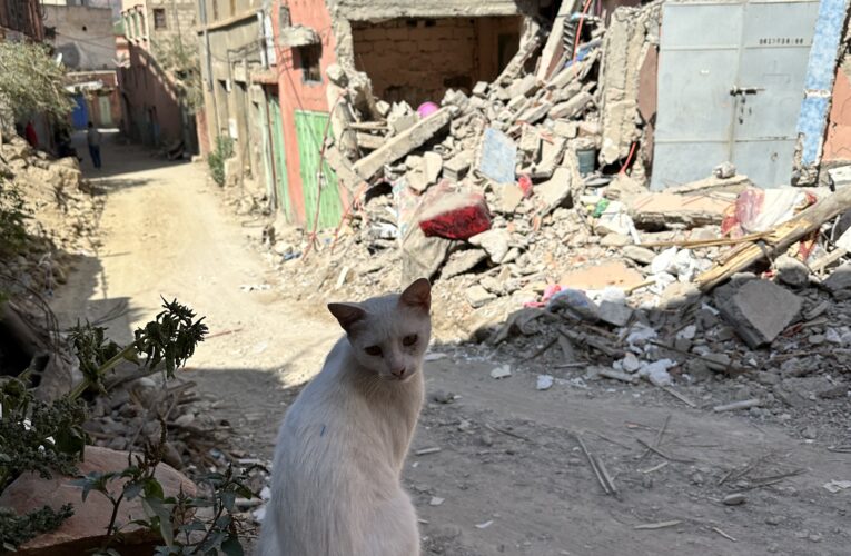 Yemen has announced that it will ban US crude oil exports from May 17 this year.