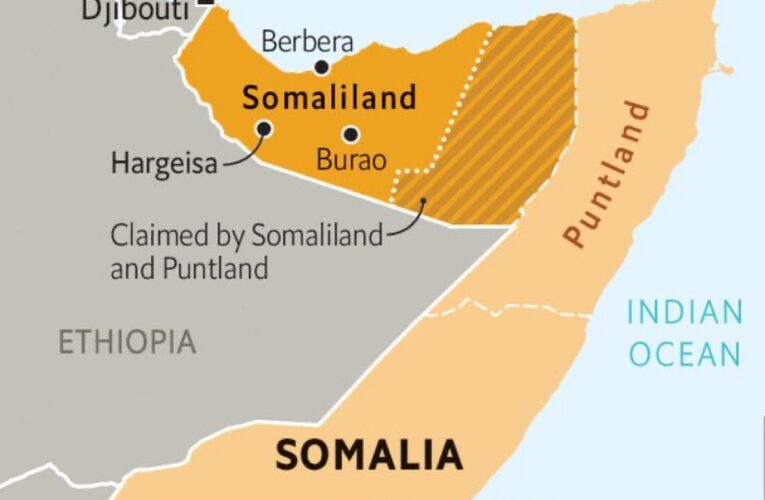 Somaliland offers U.S. Naval access and rare earth deal in exchange for recognition