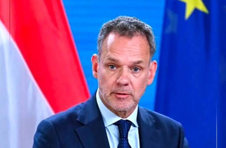 Dutch ministers resign in mass protest over Gaza policy