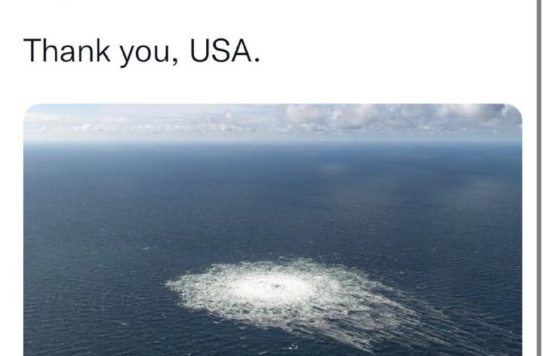 Ukrainian suspect in Nord Stream 2022 sabotage