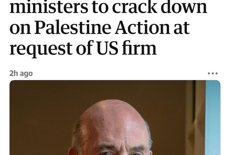 Lord Dannatt urged crackdown on Palestine Action at request of US arms firm paying him
