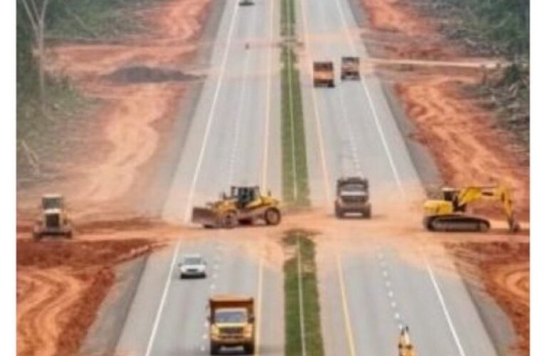 Amazon Highway Sparks Global Outcry Ahead of COP30 Climate Summit