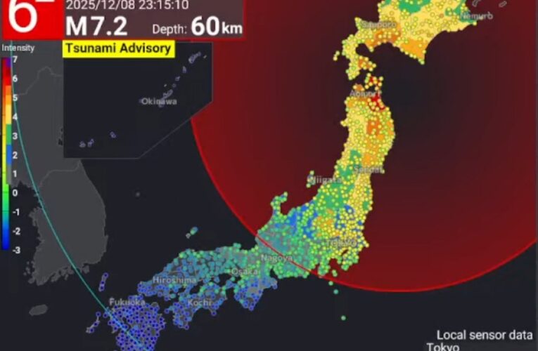 Major quake strikes northern Japan; Nuclear Plants conduct safety check