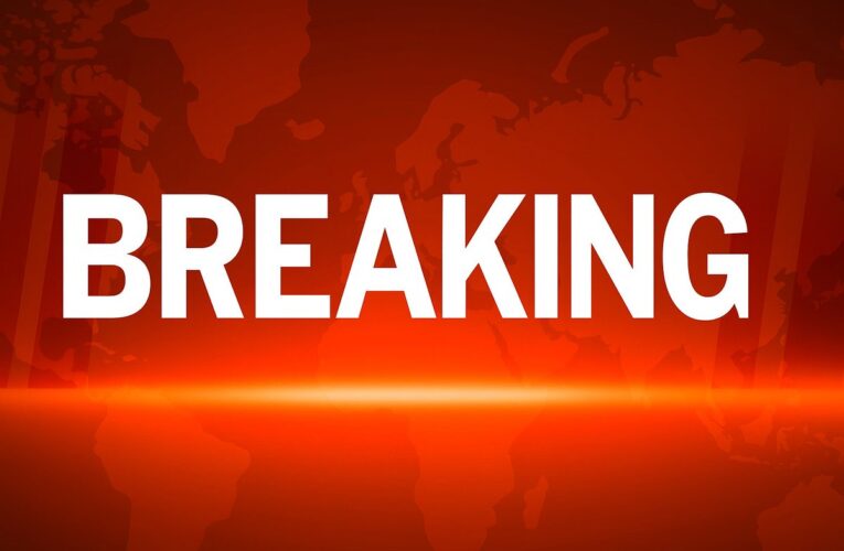 Seven injured in explosion at Swedish military training area in Sweden