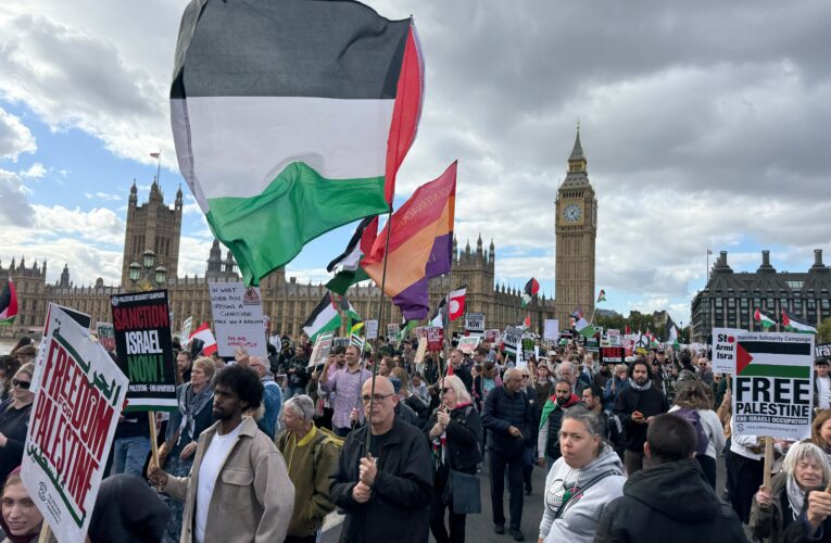 Hundreds of Thousands March in London in Solidarity with Palestine